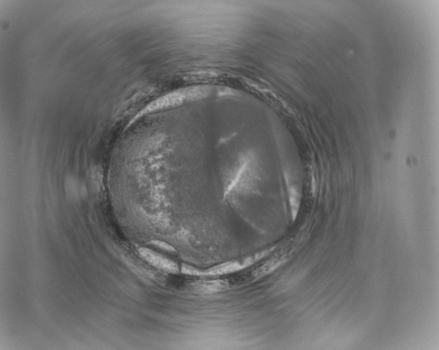 X0000072960711200608111651