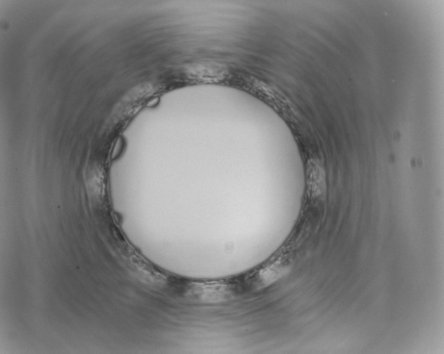 X0000072960713200608111651