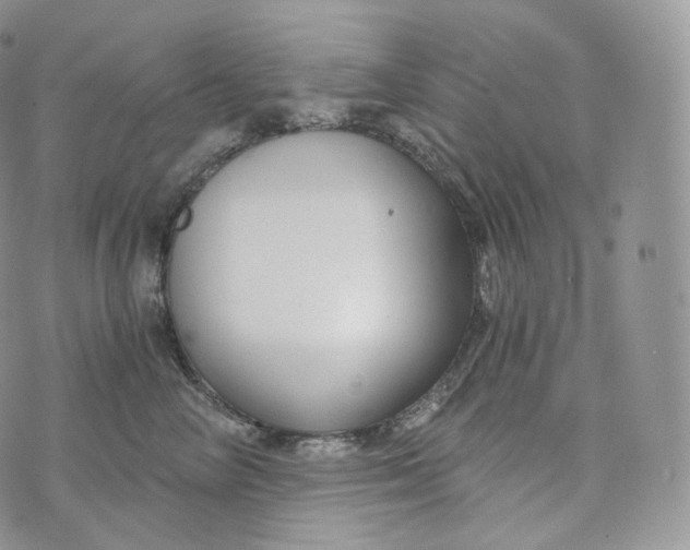 X0000072960714200608111651