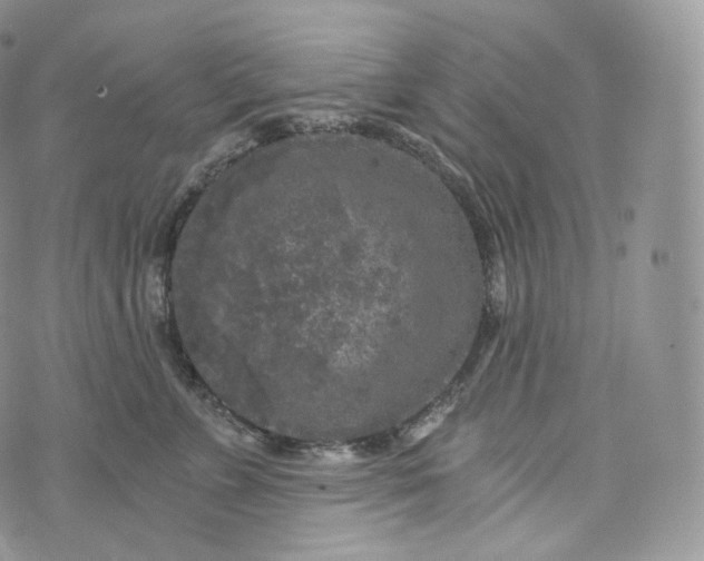 X0000072960715200608111651