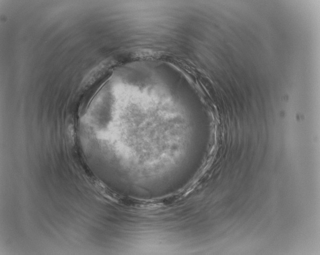 X0000072960716200608111651