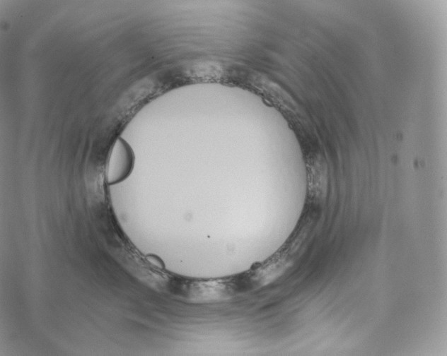 X0000072960717200608111651