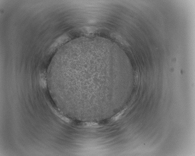 X0000072960719200608111651