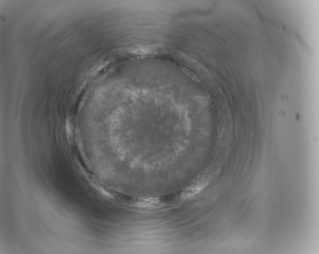 X0000072960720200608111651