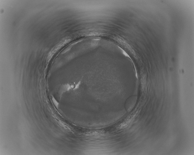 X0000072960721200608111650