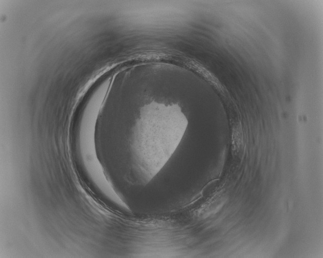 X0000072960722200608111650