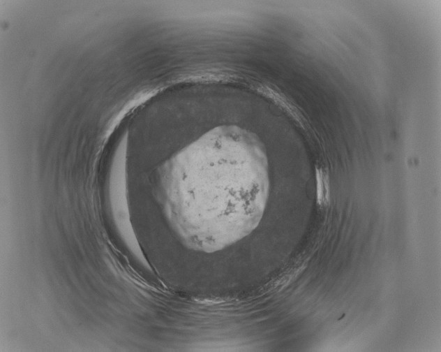 X0000072960723200608111650