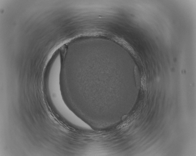 X0000072960724200608111650