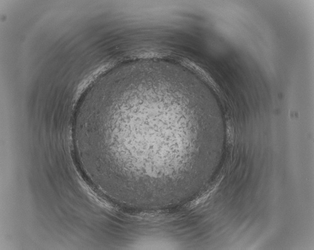 X0000072960725200608111650