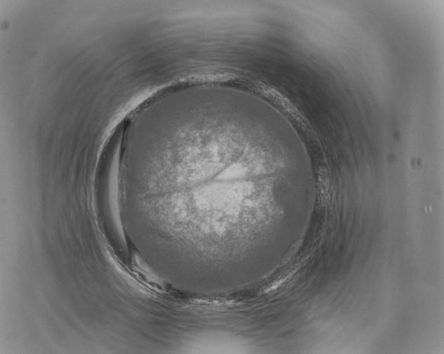 X0000072960726200608111650