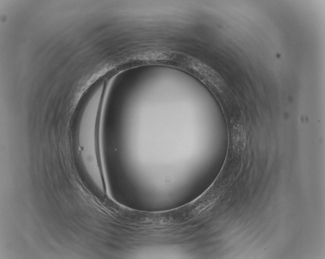 X0000072960727200608111650