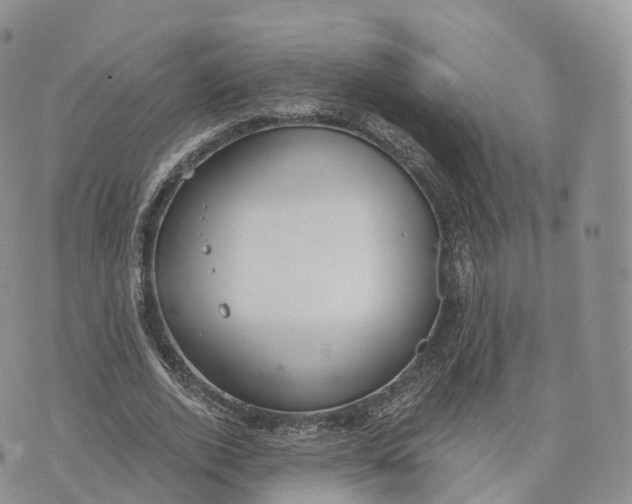 X0000072960728200608111650