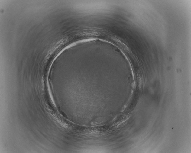 X0000072960729200608111650