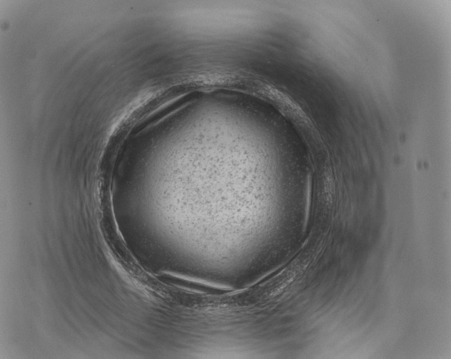 X0000072960730200608111650