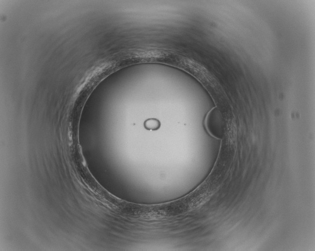 X0000072960731200608111650