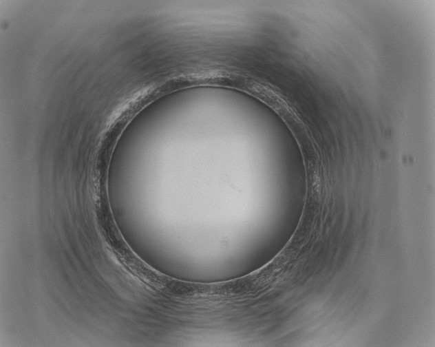 X0000072960732200608111650