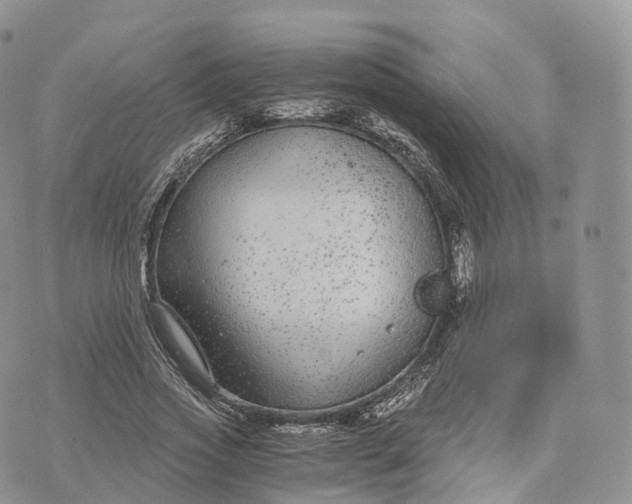 X0000072960733200608111650