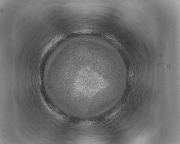 X0000072960734200608111650