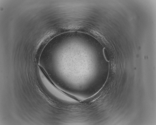 X0000072960735200608111650