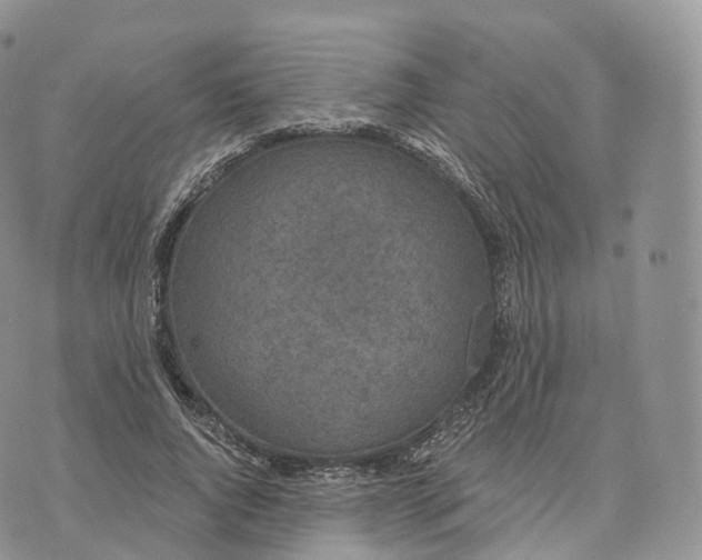 X0000072960736200608111650