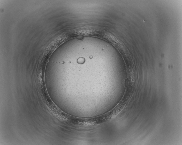 X0000072960737200608111650