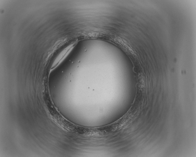 X0000072960738200608111650