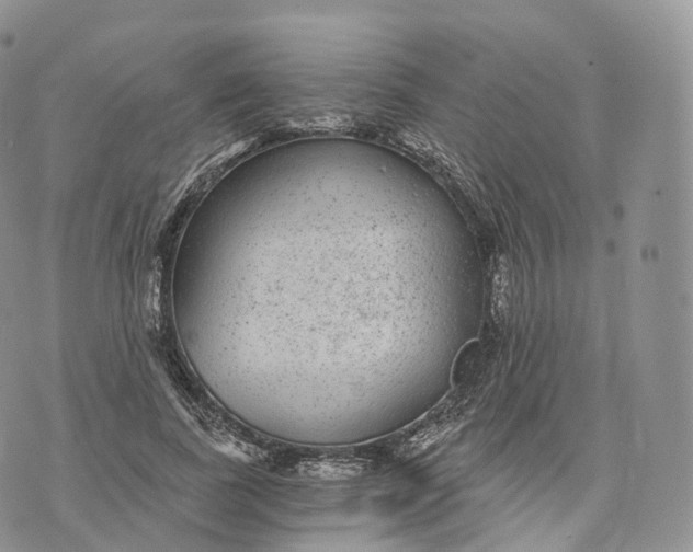 X0000072960739200608111650