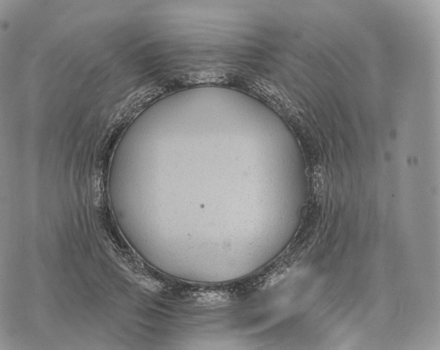 X0000072960741200608111650