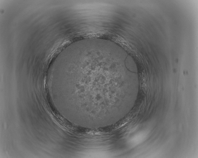 X0000072960742200608111650