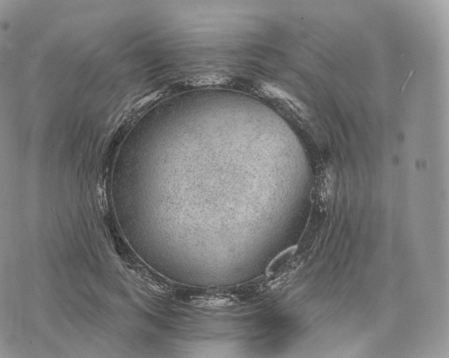 X0000072960743200608111650