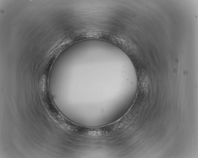 X0000072960744200608111650