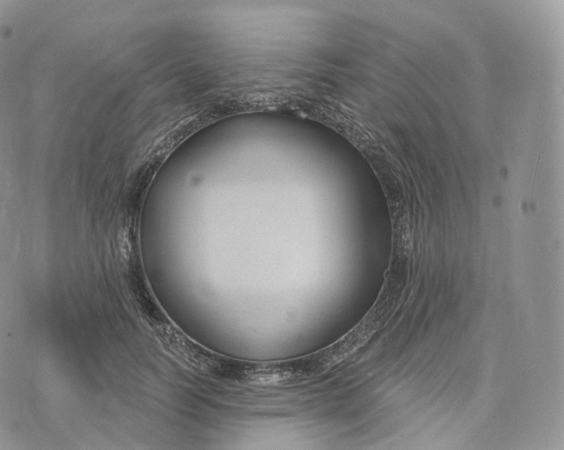 X0000072960746200608111650