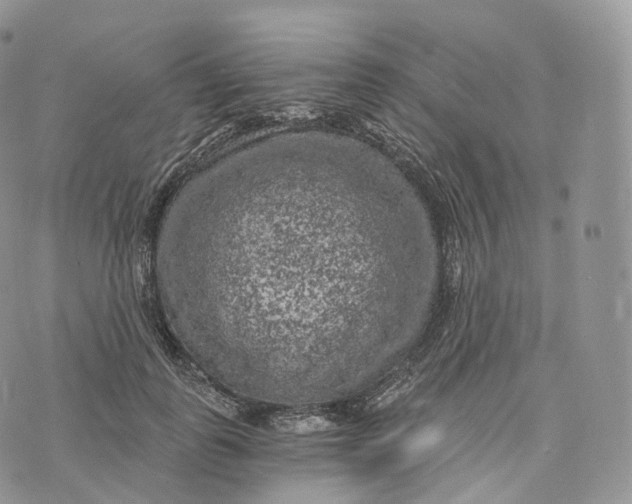 X0000072960747200608111650