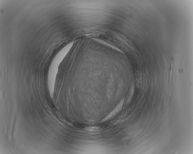 X0000072960748200608111650