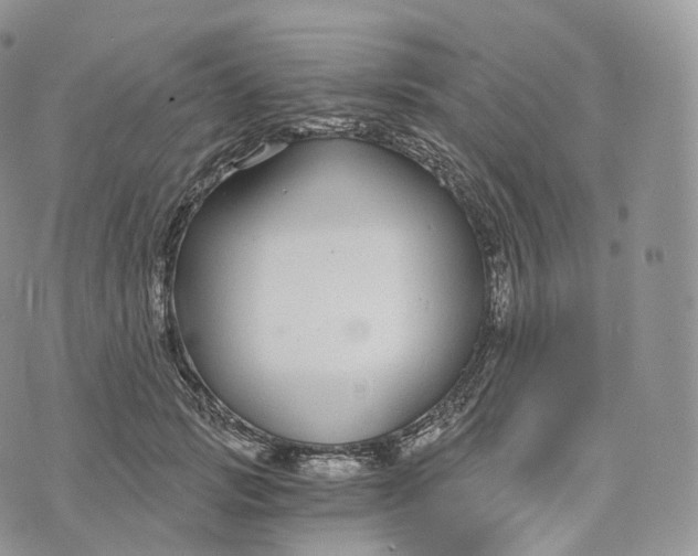 X0000072960749200608111650