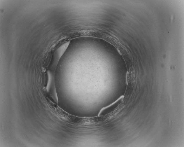 X0000072960750200608111650