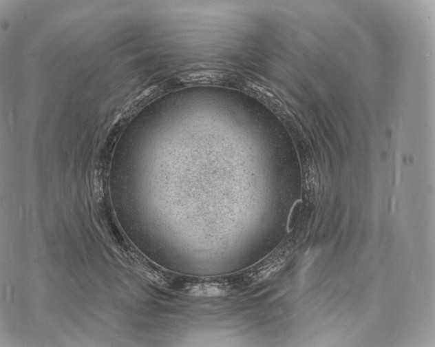 X0000072960751200608111650