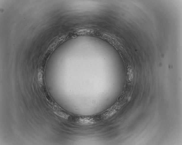 X0000072960753200608111650