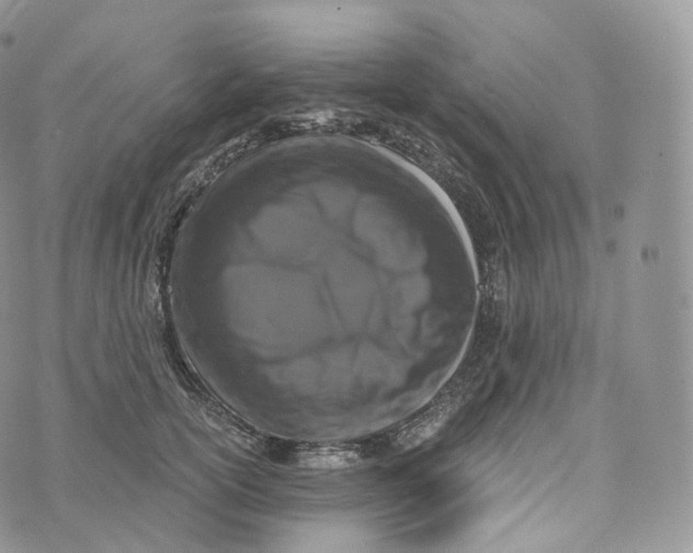 X0000072960754200608111650