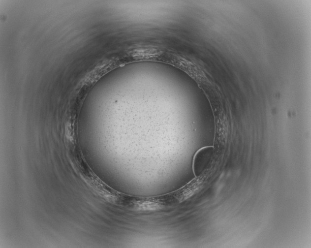 X0000072960755200608111650