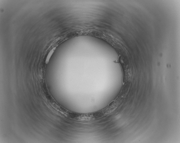 X0000072960756200608111650