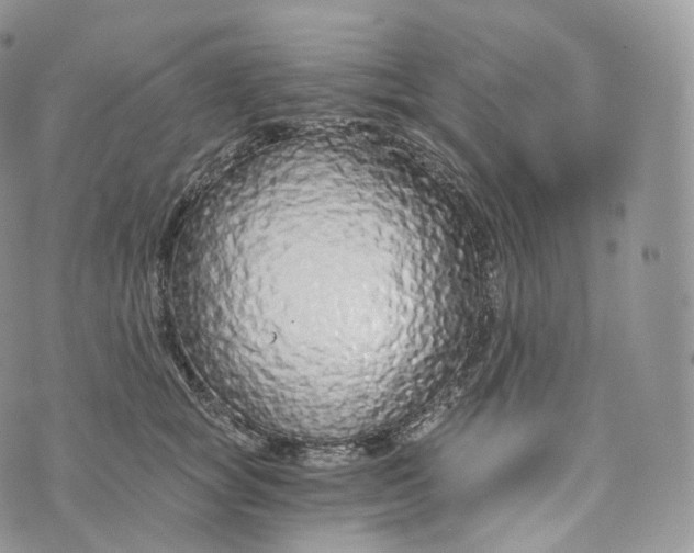 X0000072960757200608111650