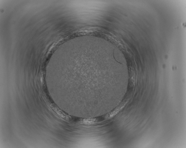 X0000072960758200608111650