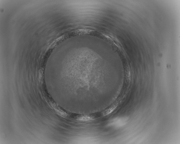 X0000072960759200608111651