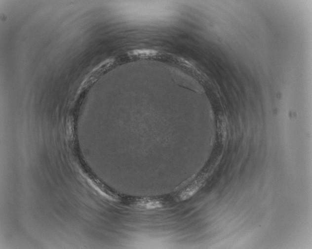 X0000072960760200608111651