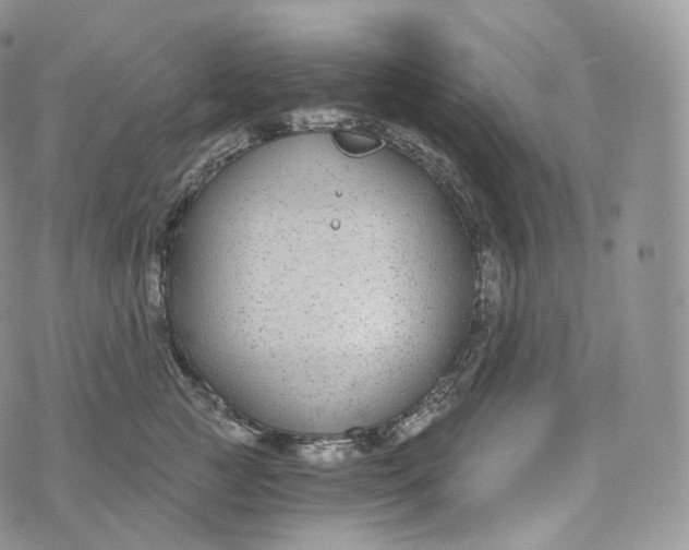 X0000072960761200608111651