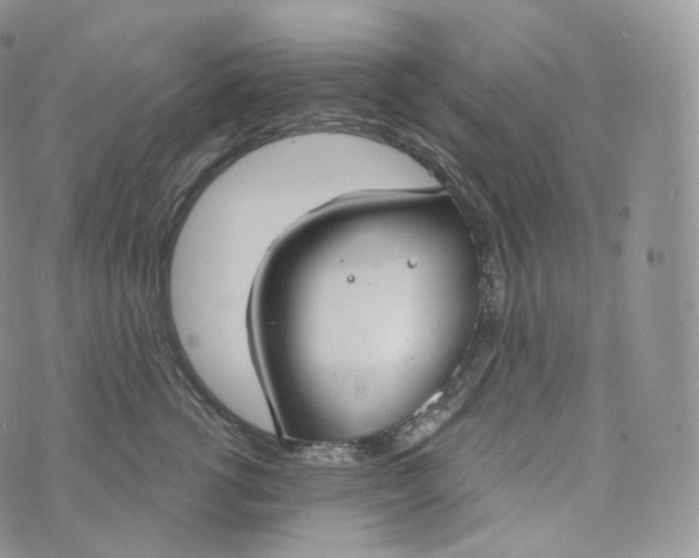 X0000072960762200608111651