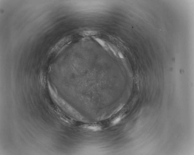 X0000072960763200608111651