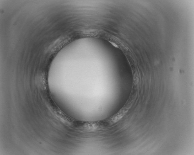 X0000072960764200608111651