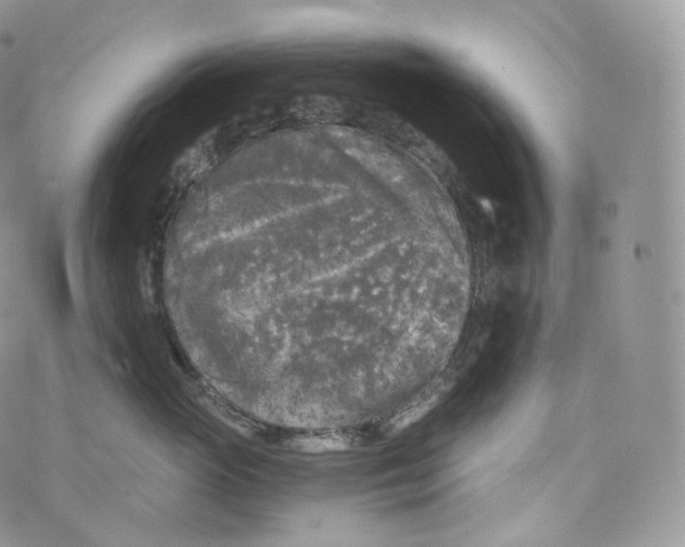 X0000072960765200608111651